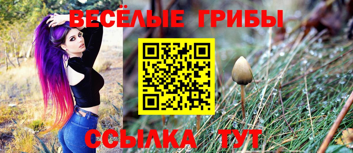 Псилоцибиновые грибы MAGIC MUSHROOMS Кузнецк
