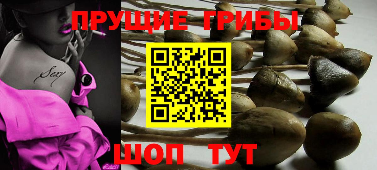Кузнецк  Галлюциногенные грибы Psilocybine cubensis  Галлюциногенные грибы Psilocybe  Вход с VPN 